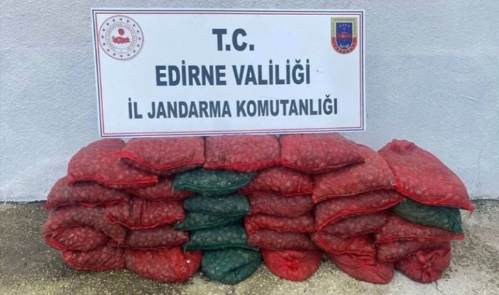 1 ton kaçak midye ile yakalanan 2 kişiye 148 bin lira ceza