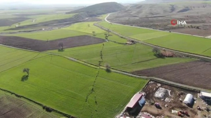 10 ili yıkan deprem doğaya da zarar verdi! Derelerde sular çekildi, dağlar yarıldı