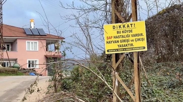 12 köyde şap karantinası