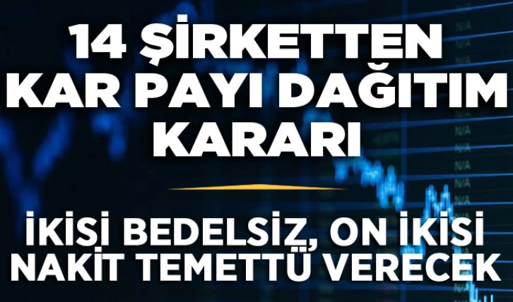 14 şirketten kar payı dağıtım kararı: 2'si bedelsiz, 12'si nakit temettü verecek