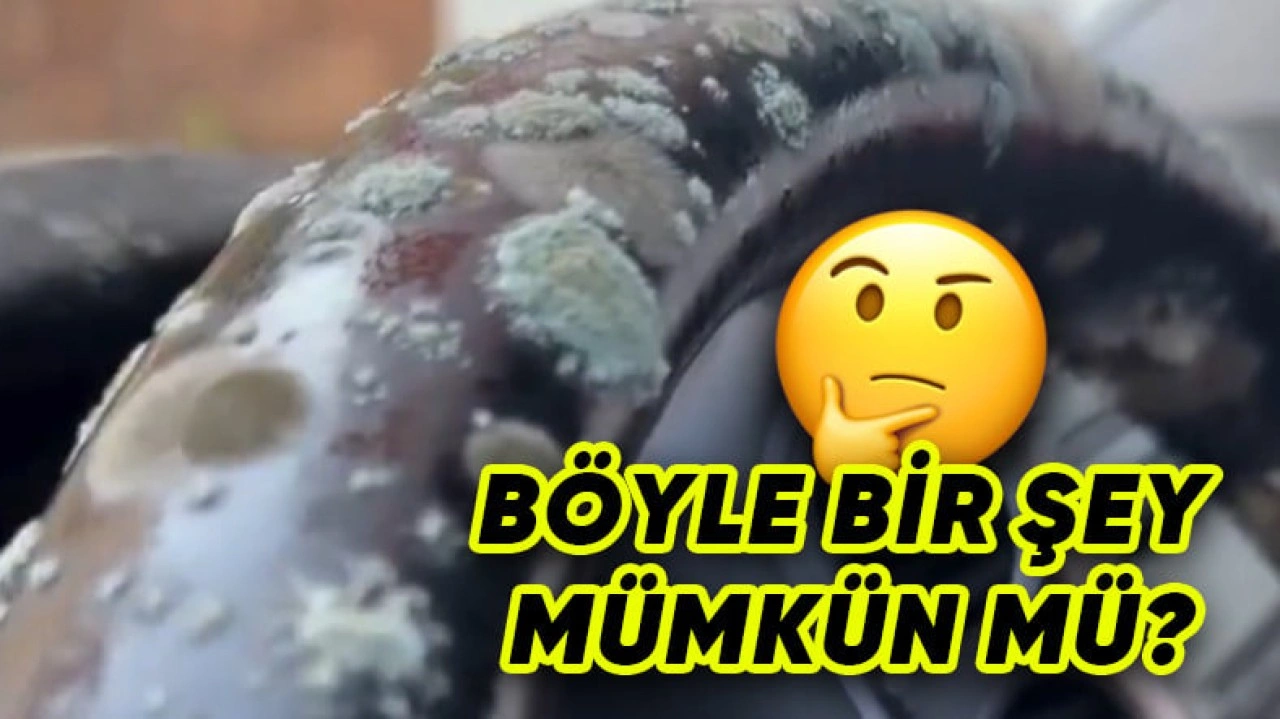 2 Ay Branda Altında Kalan Otomobil Küflendi [Video]