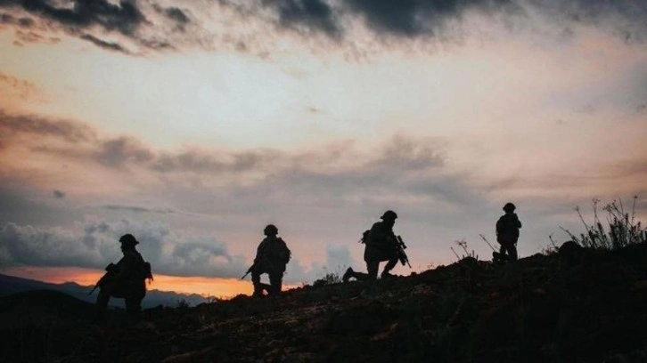 2 PKK'lı terörist daha teslim oldu