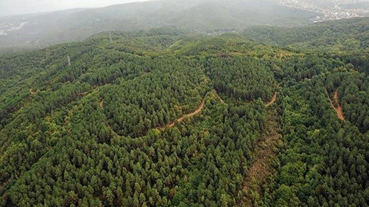 28 saattir haber yoktu! 100 yaşındaki kadın bakın nerede bulundu