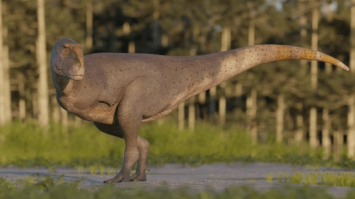 Absürt Derecede Küçük Kollu Bir Dinozor Türü Keşfedildi