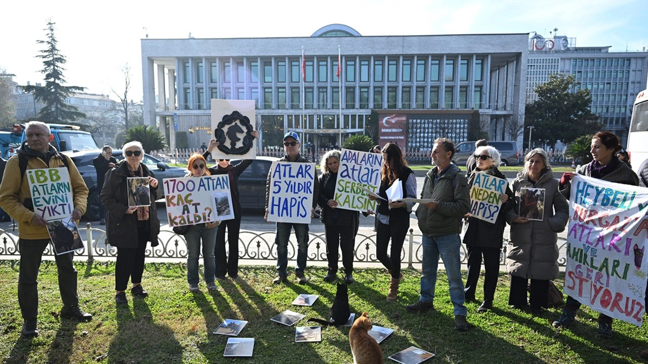 Adaların Atları Platformu ahırlarda ölen atlar için İBB'ye tepki gösterdi