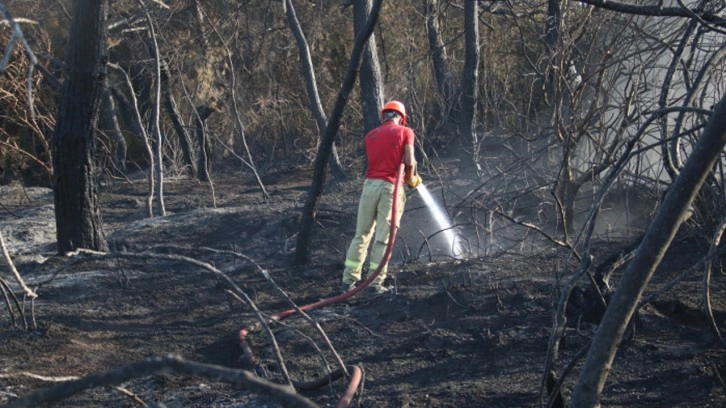 Adana'daki orman yangınları kontrol altına alındı