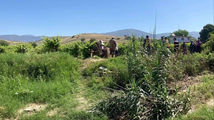 Ağaçtaki kuşu vurmak isterken komşusunu öldüren yaşlı adam, serbest bırakıldı