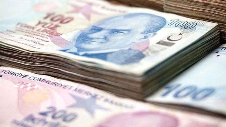 Aile Destek Programı'nda hane başı 7 bin 200 lira verilecek, başvurular e-Devlet üzerinden