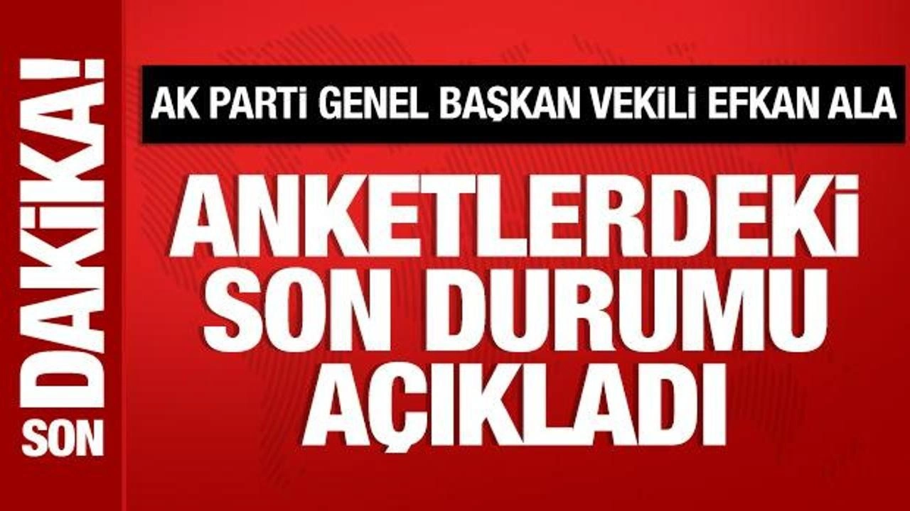 AK Parti Genel Başkan Vekili Efkan Ala, anketlerdeki son durumu açıkladı