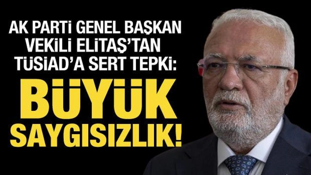 AK Partili Mustafa Elitaş'tan TÜSİAD'a tepki: Büyük saygısızlık!