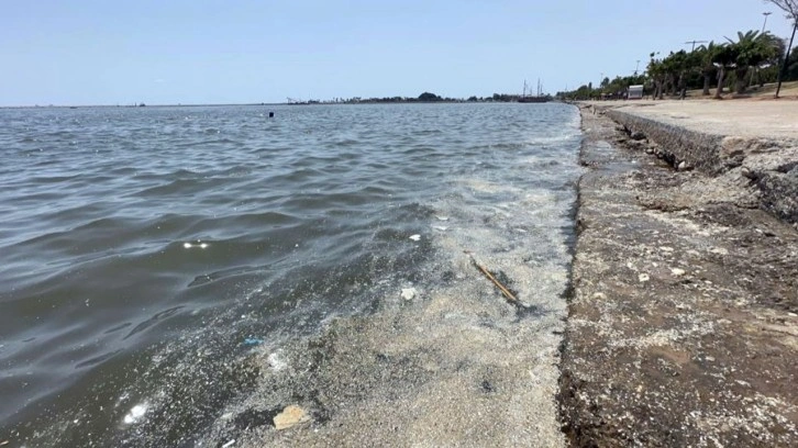 Akdeniz'de mikroplastik alarmı! Her 1 kilometre karede 8 milyonun üzerinde var!