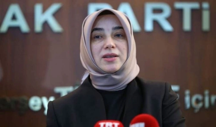 AKP'li Özlem Zengin: 'Hayır' demek için bir formül arıyorlar diye düşünüyorum