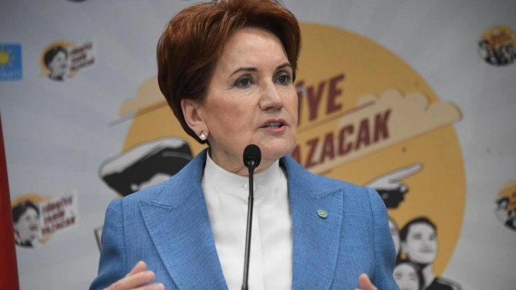 Akşener'den Sinan Oğan açıklaması