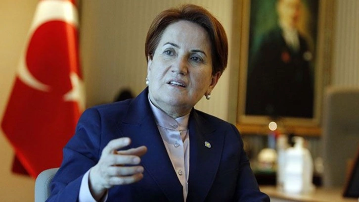 Akşener'i ısıran köpeğin öldüğünü küstah bir üslupla yazdılar