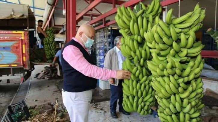 Alanya muzu coğrafi işaretle tescillendi