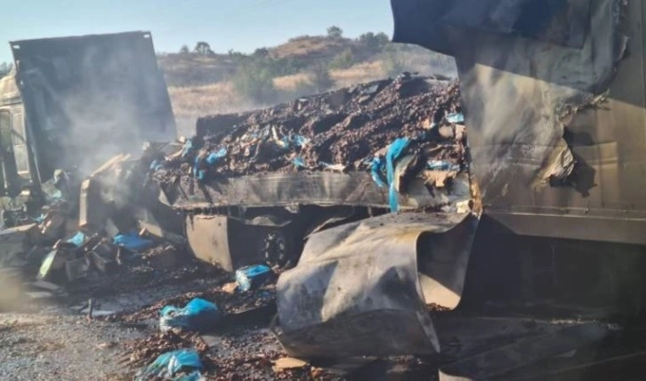 Alevlere teslim olan tırdaki 20 ton fındık küle döndü