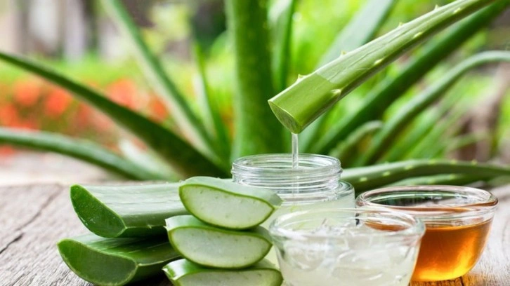 Aloe vera bitkisinin mucizelerine inanamayacaksınız aloe vera bitkisinin kullanım alanları...