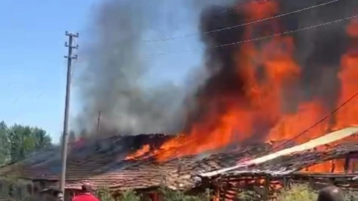 Ankara'da ahır yangını; 12 büyükbaş telef oldu