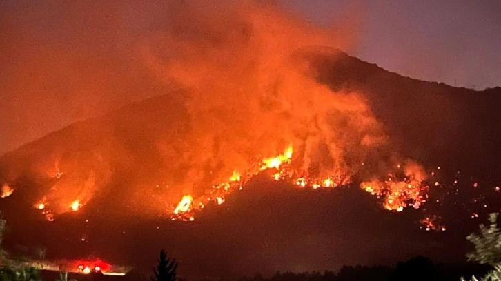 Antalya alevlere teslim oldu! Kuvvetli rüzgar çalışmaları olumsuz etkiliyor