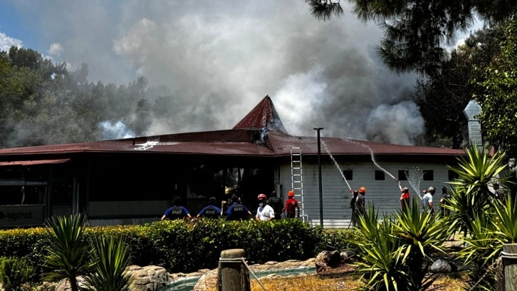 Antalya'da panik! Ormanlık alandaki restoranda yangın çıktı
