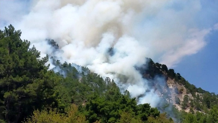 Antalya'daki orman yangını kontrol altında