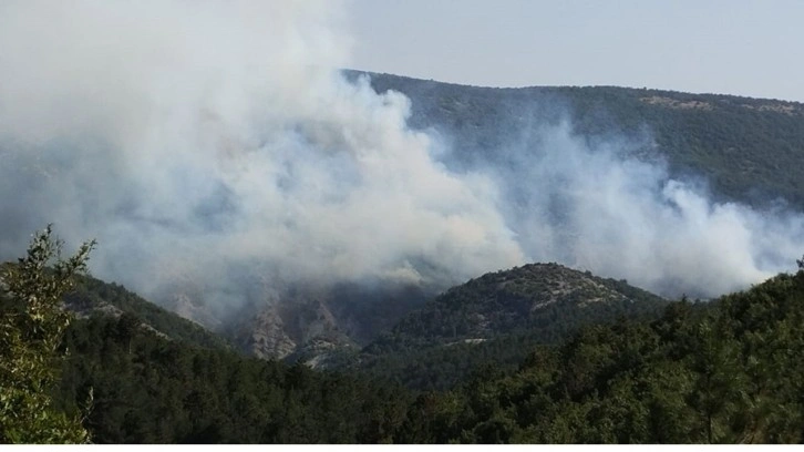 Antalya Kemer'de orman yangını çıktı!