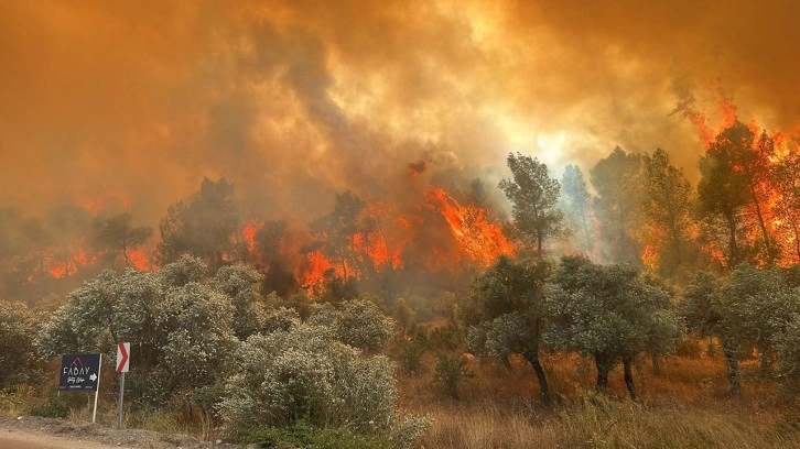 Antalya ve Muğla'da orman yangını çıktı! Korkunç görüntüler geliyor