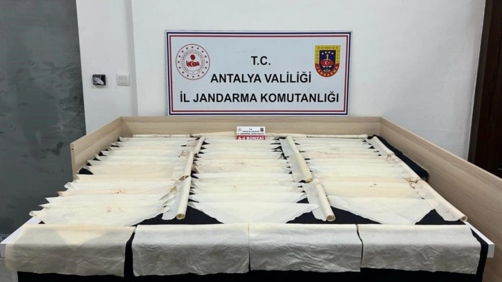 Antalya’da 1 milyon kullanımlık bonzai ele geçirildi, 1 kişi tutuklandı