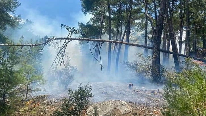 Antalya'da çıkan orman yangını söndürüldü