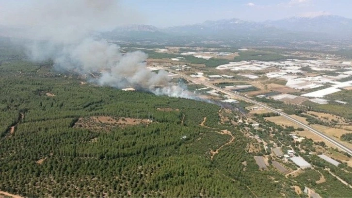 Antalya'da orman yangını!