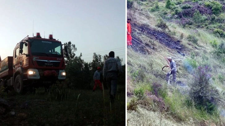 Antalya'da ormanlık alan ve muz bahçesinde yangın çıktı