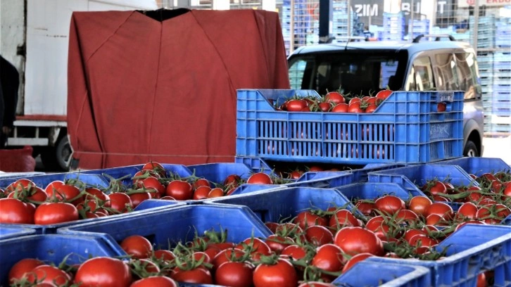 Antalya’da sebze miktarı azaldı, fiyatlar arttı