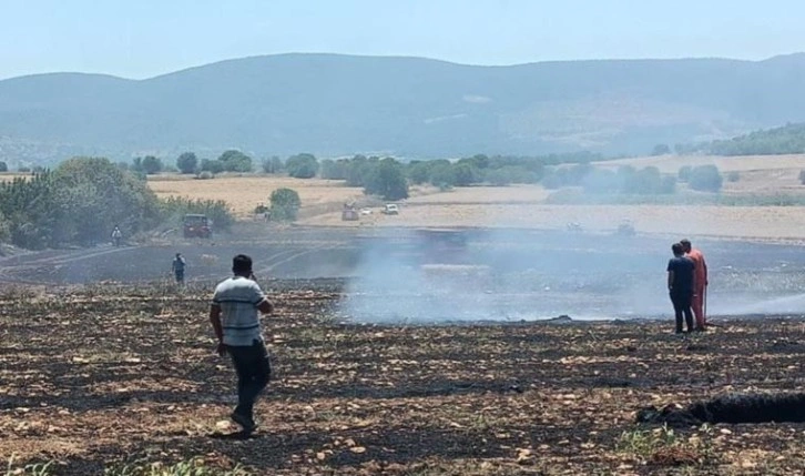 Araçtan çıkan kıvılcım '30 dönüm buğdayını' yaktı