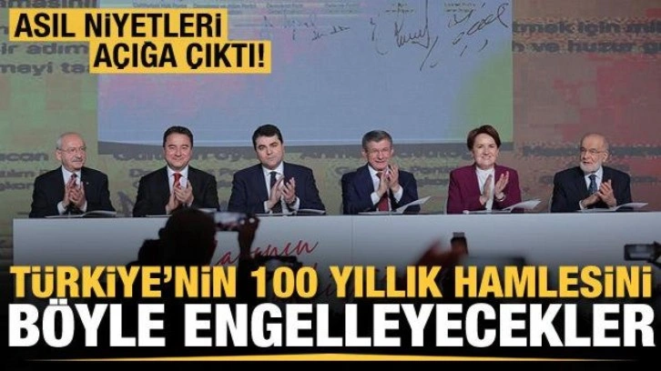 Asıl niyetleri açığa çıktı! Türkiye'nin 100 yıllık hamlesini böyle engelleyecekler