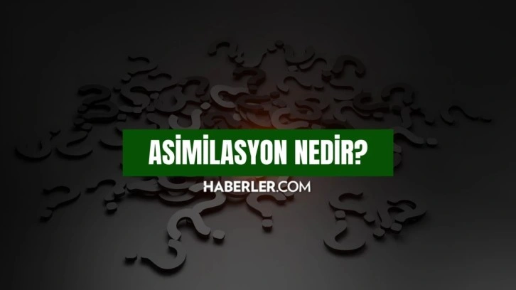 Asimilasyon nedir? Asimilasyon politikası ne demek, etkileri neler?