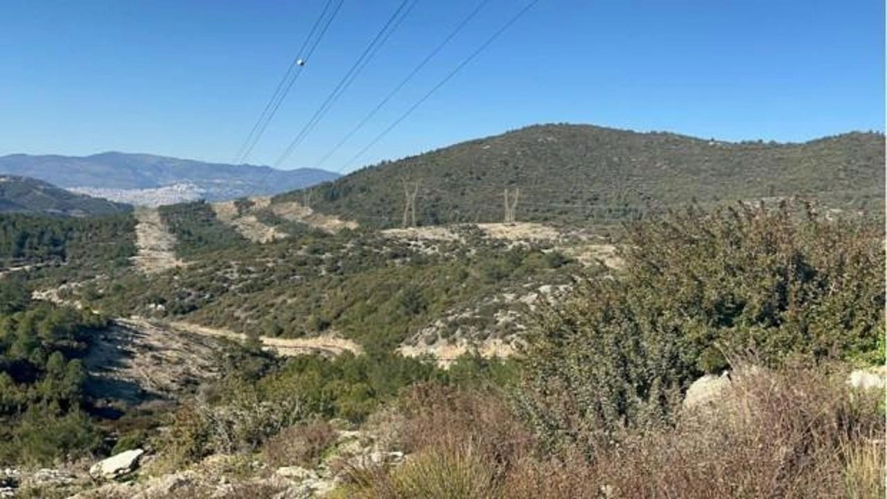 Avlanmaya gitti: Kazara oğlunu öldürdü!