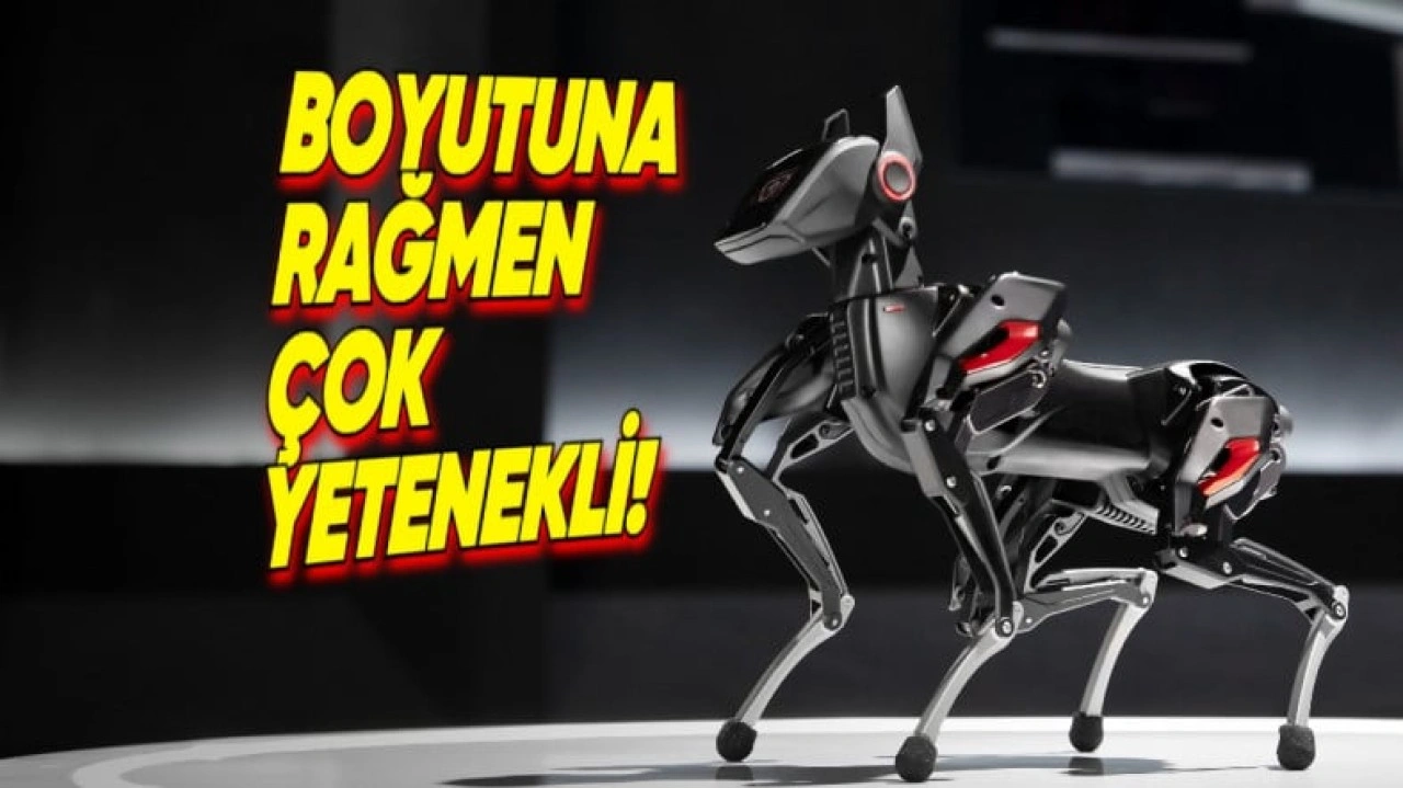 Avucunuza Sığacak Kadar Küçük Robot Köpek: Sparky!