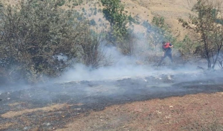 Bahçesaray’da mera alanında yangın