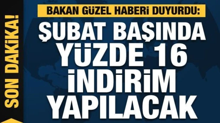 Bakan Dönmez: Şubat başında yüzde 16'lık indirim olacak