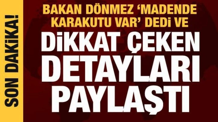 Bakan Dönmez'den Bartın açıklaması: Aykırılık bulunmadı