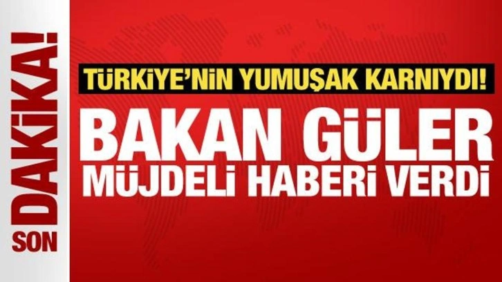 Bakan Güler müjdeli haberi verdi: Hisar ile hava savunma ihtiyacımız kalmayacak!
