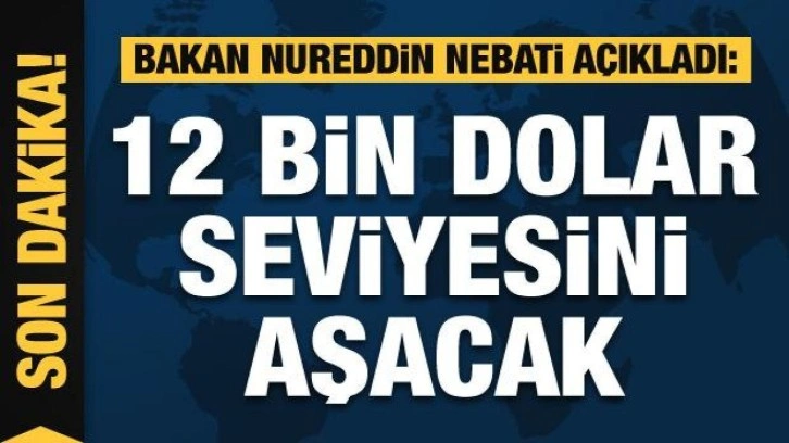 Bakan Nebati: 2023'de kişi başına gelirimiz 12 bin dolar seviyesini aşacak