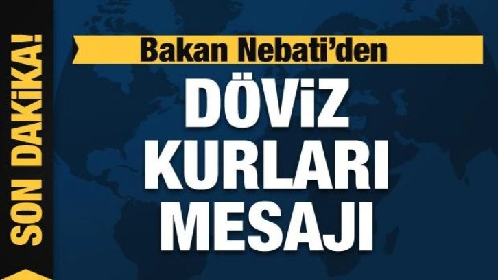 Bakan Nebati'den döviz kurları mesajı