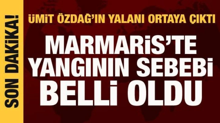 Bakan Yardımcısı Çataklı: Marmaris yangını, arıcının yaktığı ateşle çıktı