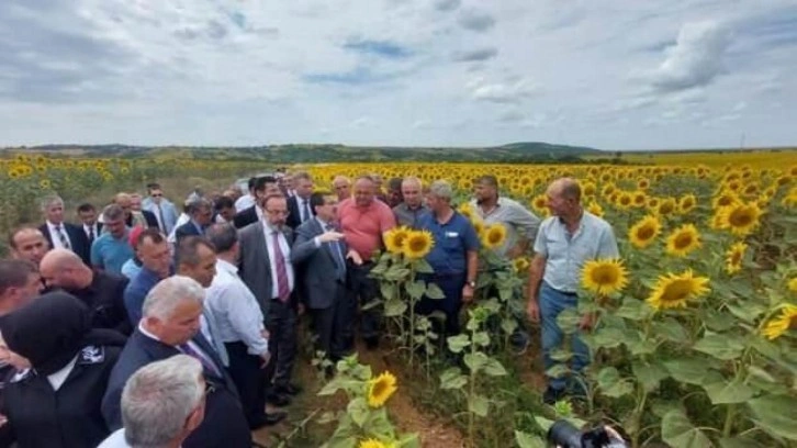 Bakan Yardımcısı Pakdil'den tırtıl istilası konusunda rahatlatan açıklama