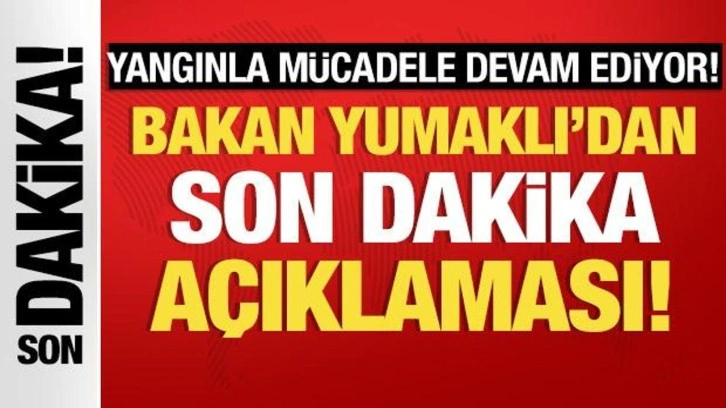 Bakan Yumaklı'dan orman yangınlarıyla ilgili önemli açıklamalar!