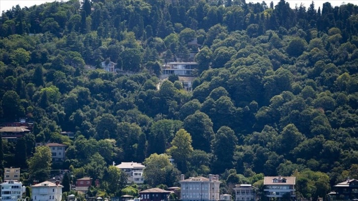 Bakanlıktan Vaniköy'deki kaçak inşaat ile ilgili suç duyurusu