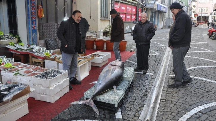 Balıkçı tezgahında sergilendi bakan bir daha baktı