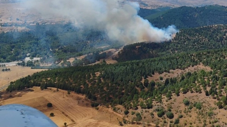 Balıkesir'de orman yangını: Havadan ve karadan müdahale ediliyor