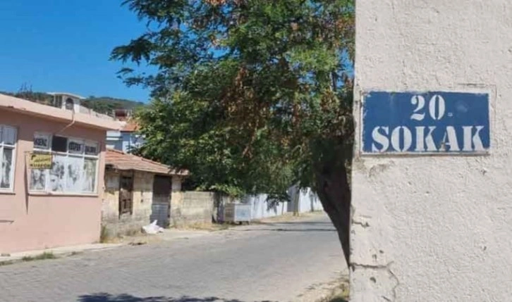 Balıkesir'de bir sokağı pire ve keneler sardı